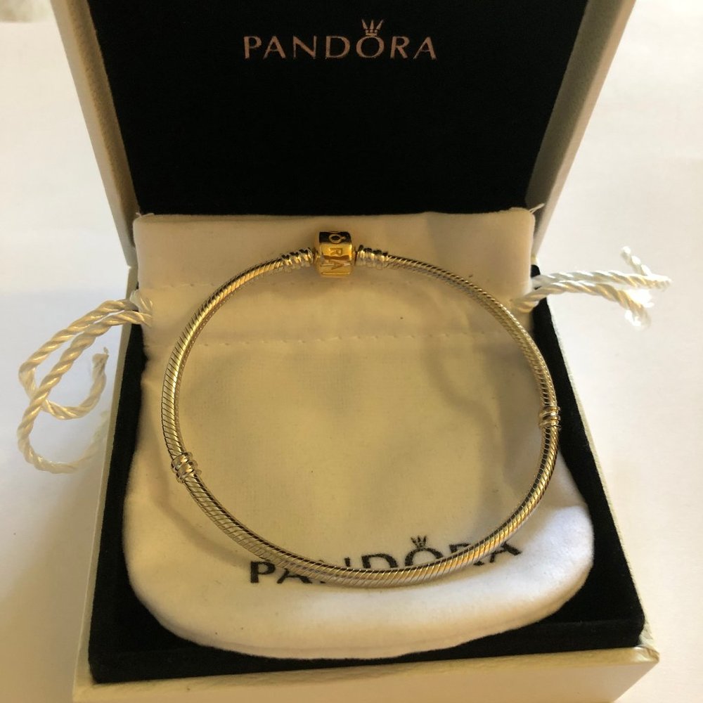 Pandora Moments Silver & 14K Snake Chain Bracelet